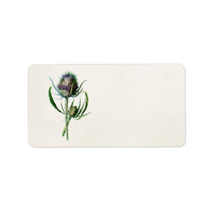  1902 Oude Schotse Thistle Wild Flower Etiket