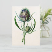 1902 Oude Schotse Thistle Wild Flower Kaart (Staand voorkant)