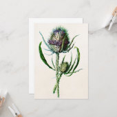 1902 Oude Schotse Thistle Wild Flower Kaart (Voorkant / Achterkant in situ)