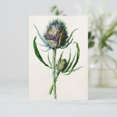  1902 Oude Schotse Thistle Wild Flower Kaart (Staand voorkant)