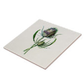  1902 Oude Schotse Thistle Wild Flower Tegeltje (Zijkant)