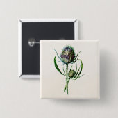 1902 Oude Schotse Thistle Wild Flower Vierkante Button 5,1 Cm (Voorkant /achterkant)