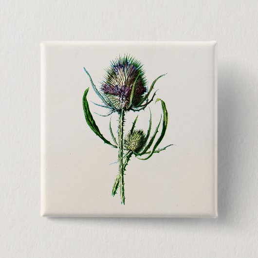 1902 Oude Schotse Thistle Wild Flower Vierkante Button 5,1 Cm (Voorkant)