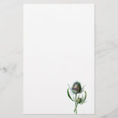 1902 Schots Thistle Antiek Wilde Bloem Briefpapier (Voorkant)