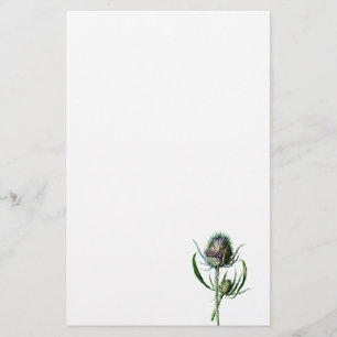  1902 Schots Thistle Antiek Wilde Bloem Briefpapier