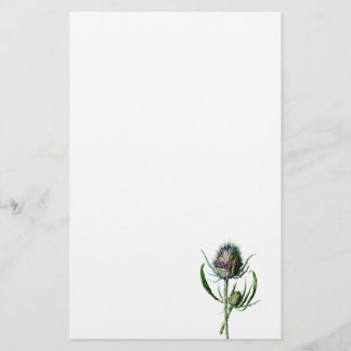  1902 Schots Thistle Antiek Wilde Bloem Briefpapier
