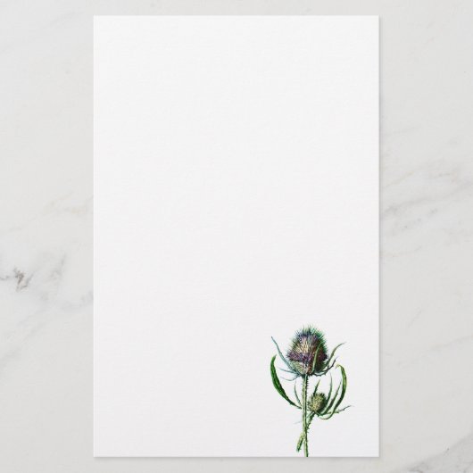  1902 Schots Thistle Antiek Wilde Bloem Briefpapier (Voorkant)