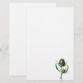  1902 Schots Thistle Antiek Wilde Bloem Briefpapier (Voorkant / Achterkant)
