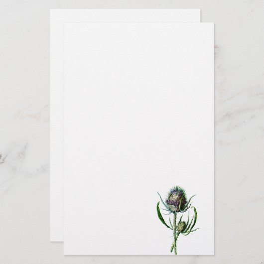 1902 Schots Thistle Antiek Wilde Bloem Briefpapier (Voorkant / Achterkant)