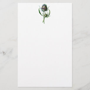  1902 Schots Thistle Antiek Wilde Bloem Briefpapier