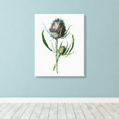 1902 Schots Thistle Antiek Wilde Bloem Canvas Afdruk (Insitu (Houten vloer))