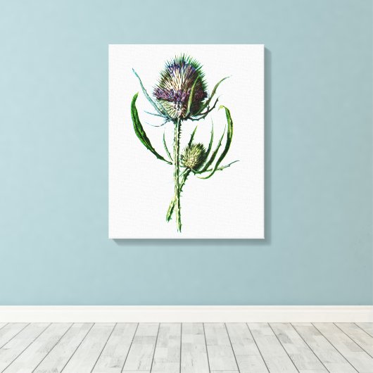  1902 Schots Thistle Antiek Wilde Bloem Canvas Afdruk (Insitu (Houten vloer))