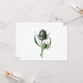 1902 Schots Thistle Antiek Wilde Bloem Kaart (Voorkant / Achterkant in situ)