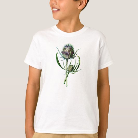 1902 Schots Thistle Antiek Wilde Bloem T-shirt (Voorkant)