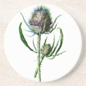 1902 Schots Thistle Antiek Wilde Bloem Zandsteen Onderzetter (Voorkant)