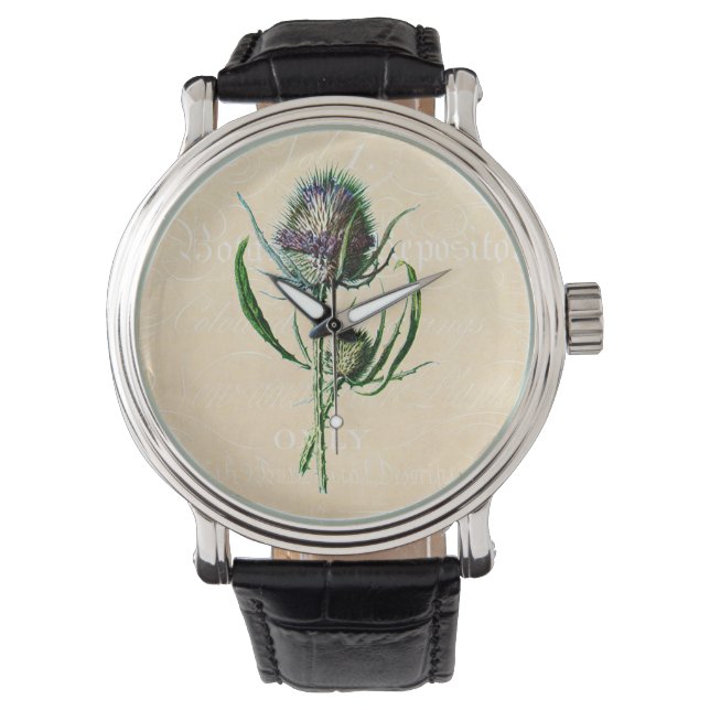  1902 Schots Thistle Antiek Wildflower Horloge (Voorkant)