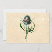  1902 Schots Thistle Antiek Wildflower Kaart (Voorkant)