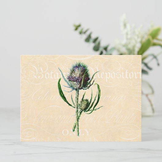  1902 Schots Thistle Antiek Wildflower Kaart (Staand voorkant)