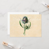  1902 Schots Thistle Antiek Wildflower Kaart (Voorkant / Achterkant in situ)