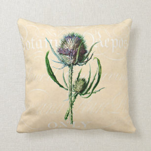  1902 Schots Thistle Antiek Wildflower Kussen