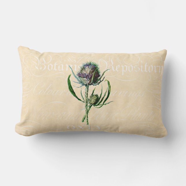  1902 Schots Thistle Antiek Wildflower Kussen (Voorkant)
