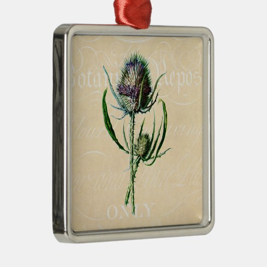  1902 Schots Thistle Antiek Wildflower Metalen Ornament (Rechts)