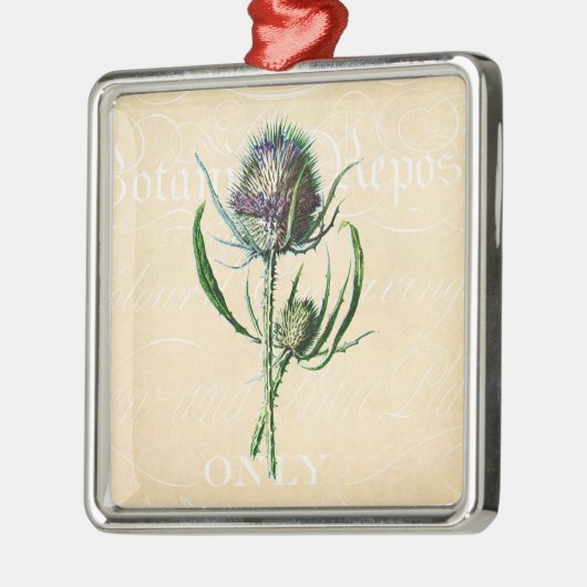  1902 Schots Thistle Antiek Wildflower Metalen Ornament (Links)