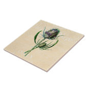  1902 Schots Thistle Antiek Wildflower Tegeltje (Zijkant)