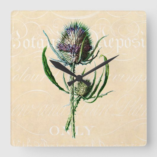  1902 Schots Thistle Antiek Wildflower Vierkante Klok (Voorkant)