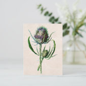  1902 Schotse Thistle Old Wild Flower Briefkaart (Staand voorkant)