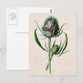  1902 Schotse Thistle Old Wild Flower Briefkaart (Voorkant / Achterkant)