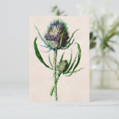  1902 Schotse Thistle Old Wild Flower Kaart (Staand voorkant)