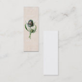 1902 Schotse Thistle Old Wild Flower Mini Visitekaartje (Voorkant / Achterkant)