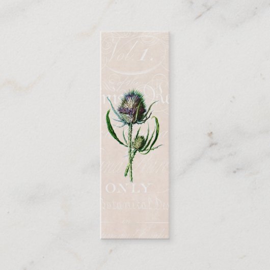 1902 Schotse Thistle Old Wild Flower Mini Visitekaartje (Voorkant)