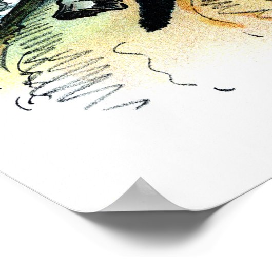 1902 Theodore Roosevelt Poster (Hoek)