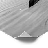 1903 Adirondack Poster (Hoek)