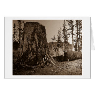 1903  lumberjacks Magic Lantern Slide