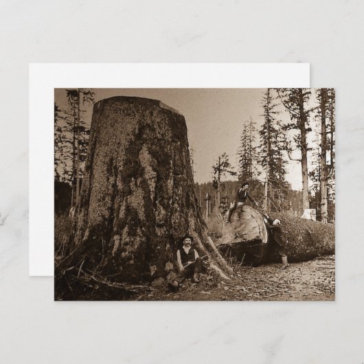 1903  lumberjacks Magic Lantern Slide Briefkaart (Voorkant / Achterkant)