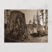 1903 lumberjacks Magic Lantern Slide Briefkaart (Voorkant)