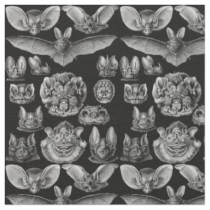 1904 Haeckel Chiroptera Stof