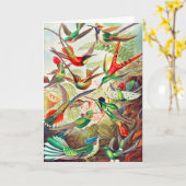 1904 kolibriesdruk kaart (Gele Bloem)