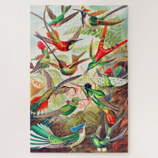 1904 kolibriesdruk legpuzzel (Verticaal)