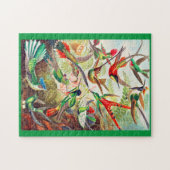 1904 kolibriesdruk legpuzzel (Horizontaal)