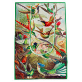 1904 kolibriesdruk medium cadeauzakje (Achterkant)