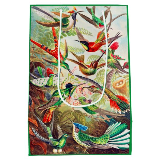 1904 kolibriesdruk medium cadeauzakje (Achterkant)