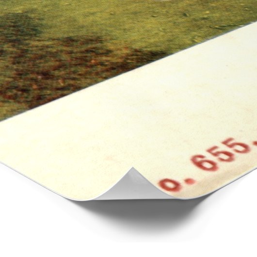 1904  meer van Genève, Wisconsin Poster (Hoek)