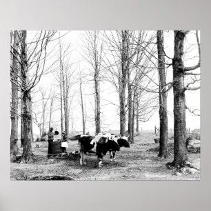 1904 Poster van het suikerkamp van Maple