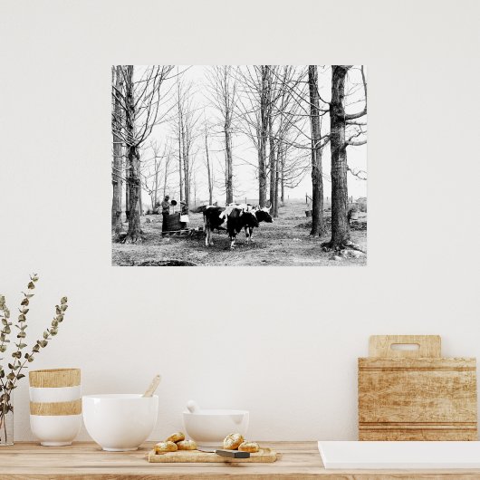 1904 Poster van het suikerkamp van Maple (Keuken)