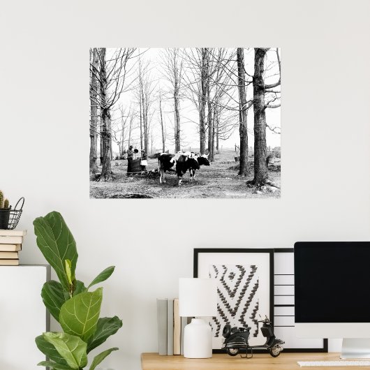 1904 Poster van het suikerkamp van Maple (Thuiskantoor)