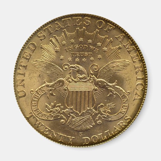 1904 Twintig dollar munt, rug (staarten) of $20 Magneet (Voorkant)